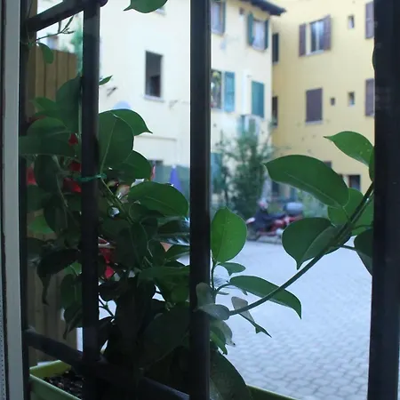 Otel Il Delfino A 4*